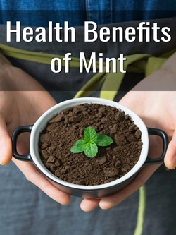 Health Benefits of Mint Cover