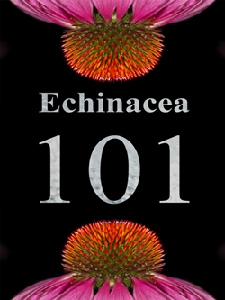 Echinacea 101 Guide Cover