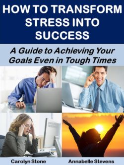 Transform Stress into Success Cover