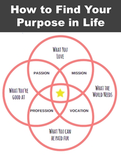 How to Find Your Purpose in Life Cover